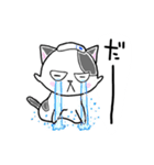 路地裏の猫のシロ（個別スタンプ：32）