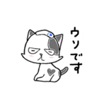 路地裏の猫のシロ（個別スタンプ：35）