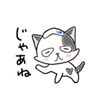 路地裏の猫のシロ（個別スタンプ：37）