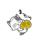 路地裏の猫のシロ（個別スタンプ：39）
