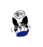 ボストンテリア大好き（個別スタンプ：9）