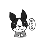 ボストンテリア大好き（個別スタンプ：10）