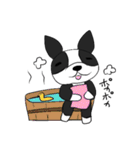 ボストンテリア大好き（個別スタンプ：16）