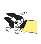 ボストンテリア大好き（個別スタンプ：18）