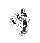 ボストンテリア大好き（個別スタンプ：34）