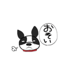 ボストンテリア大好き（個別スタンプ：35）