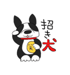 ボストンテリア大好き（個別スタンプ：37）