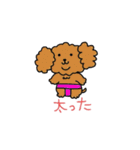 トイプードルTeddy-chan（個別スタンプ：3）