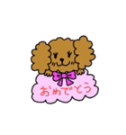 トイプードルTeddy-chan（個別スタンプ：13）