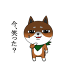 スカーフ犬 コリキ（個別スタンプ：28）
