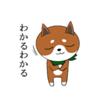 スカーフ犬 コリキ（個別スタンプ：39）