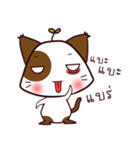 cat-baka（個別スタンプ：11）