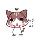 cat-baka（個別スタンプ：12）