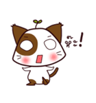 cat-baka（個別スタンプ：13）