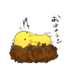ひよこのプン丸（個別スタンプ：1）