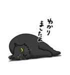 にゃんちゅーこっちゃ黒猫（個別スタンプ：10）