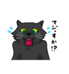 にゃんちゅーこっちゃ黒猫（個別スタンプ：12）