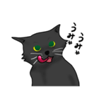 にゃんちゅーこっちゃ黒猫（個別スタンプ：13）