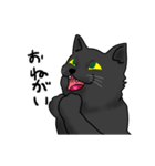 にゃんちゅーこっちゃ黒猫（個別スタンプ：39）