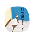 フェレットの日常（個別スタンプ：13）