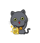 Kuma Korat cat（個別スタンプ：3）