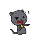 Kuma Korat cat（個別スタンプ：8）