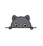 Kuma Korat cat（個別スタンプ：9）