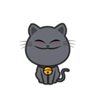 Kuma Korat cat（個別スタンプ：11）