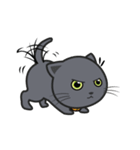 Kuma Korat cat（個別スタンプ：13）