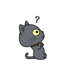 Kuma Korat cat（個別スタンプ：15）