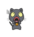 Kuma Korat cat（個別スタンプ：24）