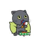 Kuma Korat cat（個別スタンプ：27）
