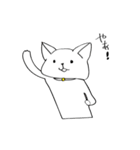 毎日ゆるぬこ（個別スタンプ：9）