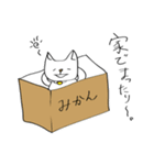 毎日ゆるぬこ（個別スタンプ：13）