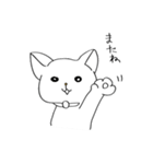 毎日ゆるぬこ（個別スタンプ：31）