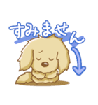 垂れ耳犬のスタンプ（個別スタンプ：12）