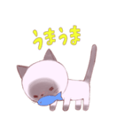 ちゃむねこ（個別スタンプ：12）