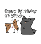 誕生日祝い 黒い犬ピッピとパピヨンぱぴ子（個別スタンプ：33）