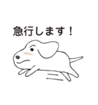 白い毛の犬のスタンプ（個別スタンプ：29）