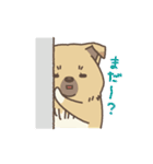 雑種わんこ 気持ちいろいろ（個別スタンプ：17）