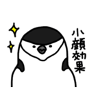 ペンギン時々アザラシ（個別スタンプ：34）