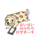 ちくわいぬ（個別スタンプ：38）