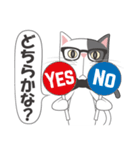 真面目な猫（個別スタンプ：13）