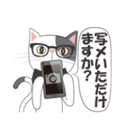 真面目な猫（個別スタンプ：17）