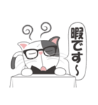 真面目な猫（個別スタンプ：36）