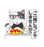 真面目な猫（個別スタンプ：38）