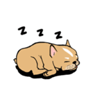 Somboon Happy French Bulldog (Eng)（個別スタンプ：6）