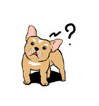 Somboon Happy French Bulldog (Eng)（個別スタンプ：8）