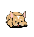 Somboon Happy French Bulldog (Eng)（個別スタンプ：12）