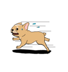 Somboon Happy French Bulldog (Eng)（個別スタンプ：18）